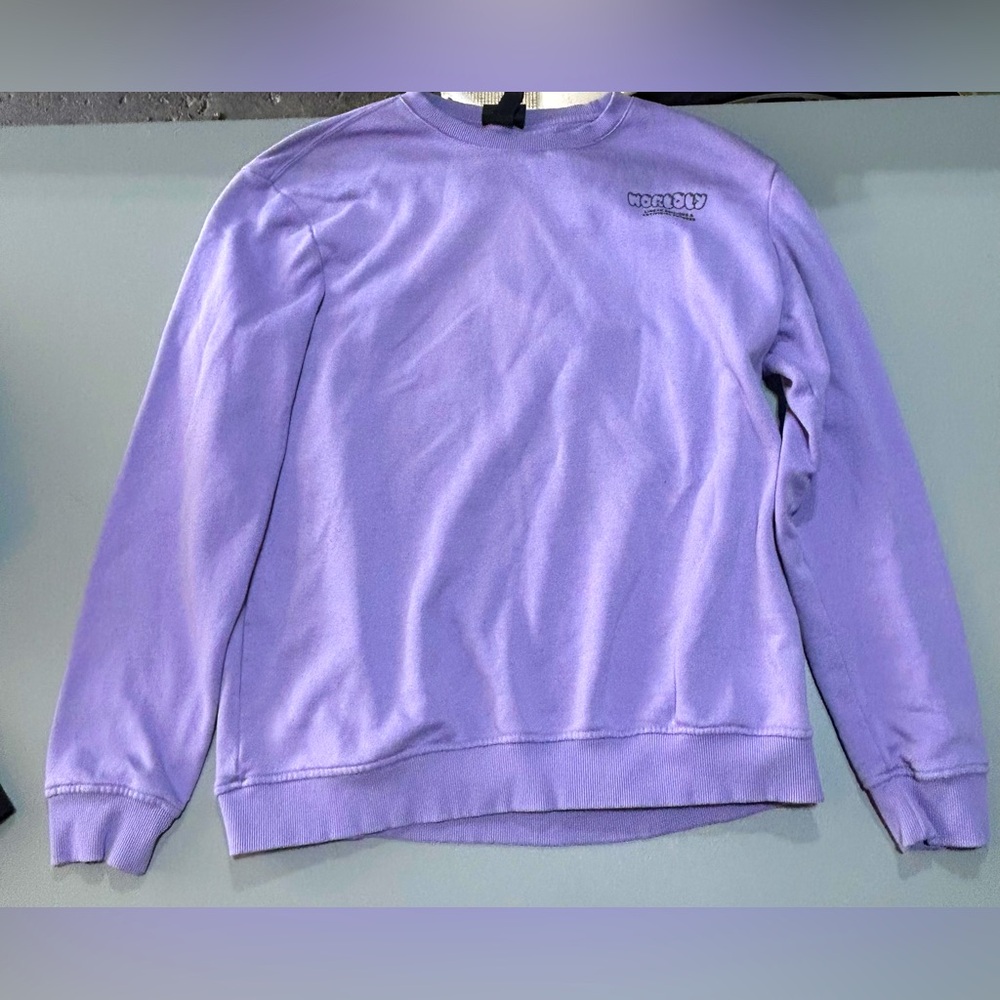 (3 for $25) BNWOT H&M Longsleeve Crewneck Purple (Men’s Large)